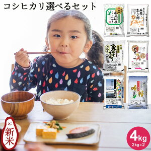y|Cg2{10/17܂!!zȂقۂ̃RVqJIׂZbg 4kg(2kg×2) b 2kg    2kg  RVqJV Ђ  VY nY Y Hה 