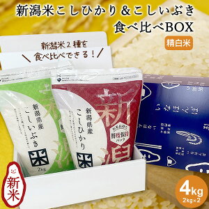 y|Cg2{10/9܂!!zyߘa7NYVāzVĂЂ&ԂHהBOX(`bNt2kg×2) b RVqJ RVCuL   RVqJV Ђ Ԃ