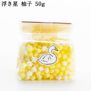 ͂傤 Mqx[X 50g b V َq 䂩  v`Mtg   ĉ