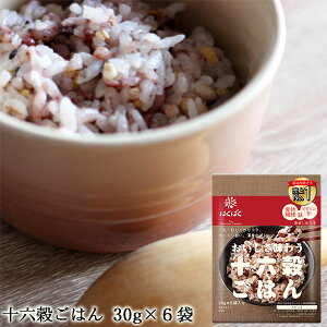 \Z͂ 30g×6 b G Oet[ ~l H@ r^~BޖLx