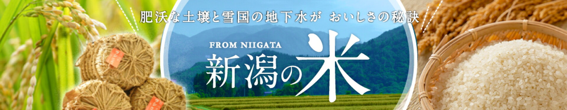 新潟のお米