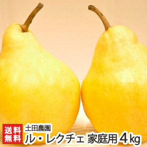 【家庭用】洋梨 ル・レクチェ 選べる 「小玉4個」or「1kg」or「2kg」or「3kg」or「4kg」 土田農園 ルレクチェ ルレクチエ 洋ナシ 洋なし 梨 お取り寄せ フルーツ お買い得 訳あり品 新潟県 生産者