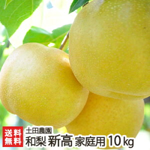 【家庭用】土田農園の日本梨 新潟県産 新高「3kg」or「5kg」or「10kg」【新高梨】【新潟県産梨/なし/ナシ/和梨】【送料無料】