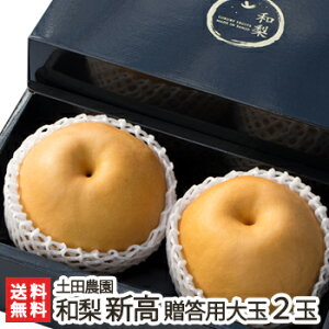 贈答用 特大サイズ 土田農園の日本梨 新潟県産 新高 2玉(1玉1kg以上)【10月中旬頃から順次発送/新高梨】【お土産/手土産/ギフトに!贈り物】【送料無料】