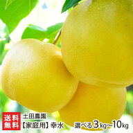 【家庭用】土田農園の日本梨 新潟県産 幸水「3kg」or「5kg」or「10kg」【8月中旬頃から順次発送】【幸水…