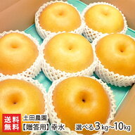 【贈答用】土田農園の日本梨 新潟県産 幸水「3kg」or「5kg」or「10kg」【幸水梨】【8月中旬頃から順次発…