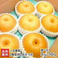 【贈答用】土田農園の日本梨 新潟県産 あきづき「3kg」or「5kg」or「10kg」【あきづき梨】【9月中旬頃か…