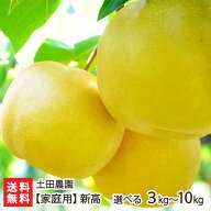 【家庭用】土田農園の日本梨 新潟県産 新高「3kg」or「5kg」or「10kg」【新高梨】【新潟県産梨/なし/ナシ…