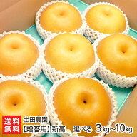 【贈答用】土田農園の日本梨 新潟県産 新高「3kg」or「5kg」or「10kg」【新高梨】【新潟県産梨/なし/ナシ…