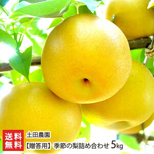【贈答用】季節の梨詰め合わせ「3kg」or「5kg」or「10kg」土田農園 【和梨/日本梨/なし/ナシ】【お土産/手土産/ギフトに!贈り物】【送料無料】