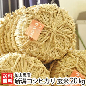 yߘa7NxVāz _Ew엿 VY RVqJ  2kg 5kg 10kg 20kg RXyVYЂzyyY/yY/v[g/MtgɁI蕨zyz