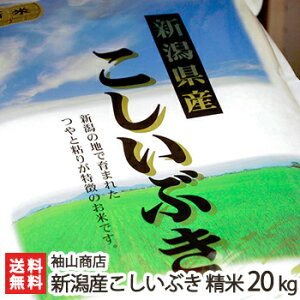 yߘa7NxVāz _Ew엿 VY Ԃ  2kg 5kg 10kg 20kg RXyVYRVCuL/āzy蕨zyyY/yY/v[g/MtgɁI蕨zyz