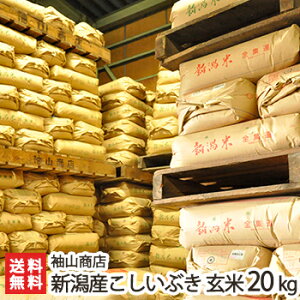 yߘa7NxVāz _Ew엿 VY Ԃ  2kg 5kg 10kg 20kg RXyVYRVCuLzyyY/yY/v[g/MtgɁI蕨zyz