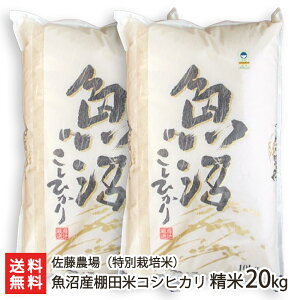 yߘa7NxVāzʍ͔|āi_Ew엿jYRVqJ 󏭂ȒIc  2kg 5kg 10kg 20kg _yVY/YЂzyyY/yY/v[g/MtgɁI