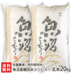 yߘa7NxVāzʍ͔|āi_Ew엿jYRVqJ 󏭂ȒIc  5kg 10kg 20kg _yVY/YЂzyyY/yY/v[g/MtgɁI蕨z