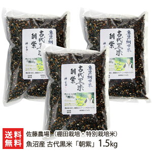 yߘa7NxVāzY Ñ㍕āuviIc͔|Eʍ͔|āj1.5kg _ yk/܂/܂/Ñ//v`v`/h{zyyY/yY/MtgɁI蕨zy