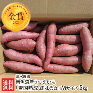 싛Y܂uፑn g͂邩vMTCY 5kg _y\񕪏I12{`zyF/ׂɂ͂邩/؃\GT~bg܎/싛s/YnzyyY/yYz