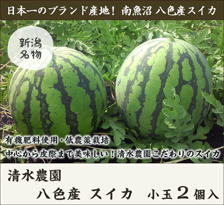 市場 朝市場の新鮮野菜 小玉すいか