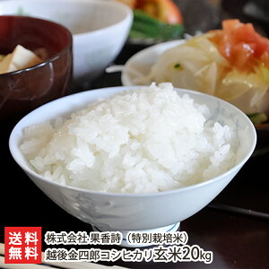 yߘa7NxVāzʍ͔|āi_Ew엿jVY zlYRVqJ  2kg 5kg 10kg 20kg  ʍyVYЂzyyY/yY/v[g/MtgɁI蕨