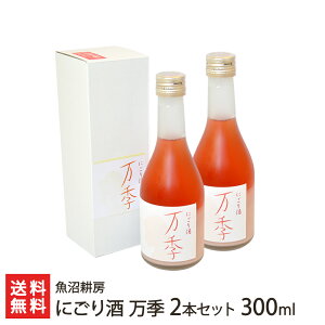 ɂuGv300ml×2{ k[ YRVqJiʍ͔|ājgp     V YҒ  Mtg v[g 蕨 