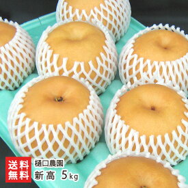 【贈答用】新高 選べる 3kg（5〜6個）〜 10kg（12〜18個）樋口農園 新潟県産 産地直送 和梨 なし ナシ にいたか フルーツ 新潟県 生産者直送 お取り寄せ ギフト プレゼント 贈り物 送料無料