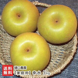 ���i�摜