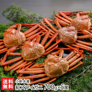 {CY 䥂łčgYCKj Iׂ 700g×2 ` 800g×4 jY p {C gYCKj I Jj gYCI V YҒ  Mtg v[g 蕨 