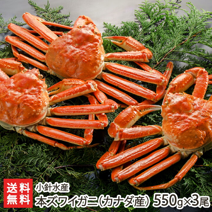 0049-002-02.jpg?fitin=720:720