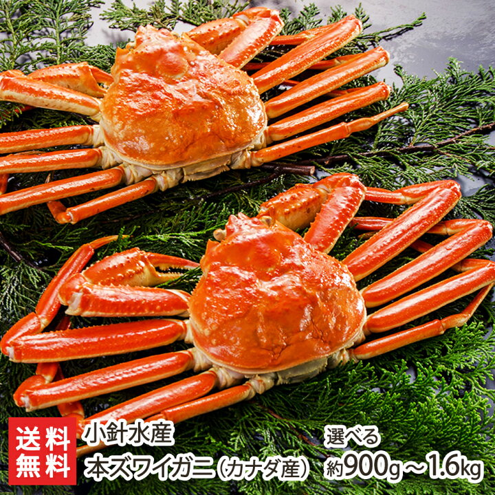 楽天市場】本ズワイガニ（カナダ産） 「1尾あたり 450g or 550g」・「2  