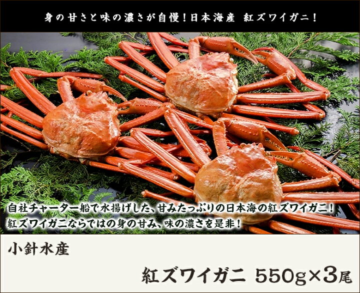 楽天市場 紅ズワイガニ 550g 3尾 約1 7kg 冷蔵便 小針水産 姿 日本海 紅ズワイガニ 蟹 カニ 紅ズワイ蟹 お土産 手土産 ギフトに 贈り物 送料無料 新潟直送計画 楽天市場店