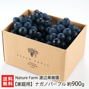 ƒp iKmp[v 900g Nature Farm nӉʎ VY VY Ȃ̂ρ[Ղ t[c ʕ  Ԃǂ Ԃǂ uhE  Ȃ 炲 W[V[ VY YҒ 
