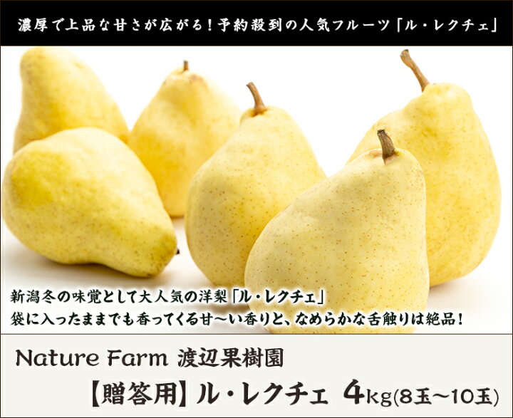 驚きの値段 ル レクチェ 4kg 石田フルーツガーデン 送料無料 organisationsgaertner.at 驚きの値段 ル レクチェ 4kg 石田フルーツガーデン 送料無料 organisationsgaertner.at