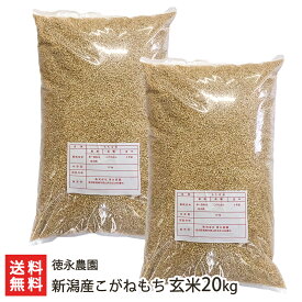 【令和5年度米】新潟県産 こがねもち（特別栽培米）玄米「5kg」or「10kg」or「20kg」徳永農園 もち米【新潟産コガネモチ・お餅や赤飯に最適の餅米！/玄米もち米】【お土産/手土産/プレゼント/ギフトに！贈り物】【送料無料】