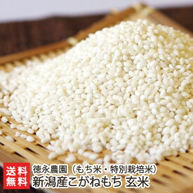 令和6年度産米 新潟産 特別栽培米（減農薬・減化学肥料） こがねもち 玄米 選べる 5kg 10kg 20kg 徳永農園 もち米 新潟産 コガネモチ お餅 赤飯 新潟県 生産者直送 お取り寄せ ギフト プレゼント 贈り物 送料無料 お歳暮