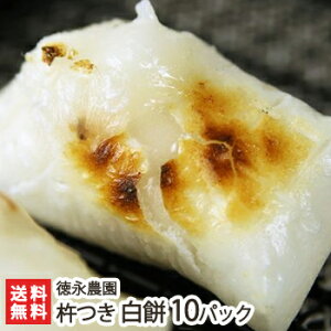 VY˂̋n  Iׂ 3pbN ` 10pbN i_ Y `  Ă ɁI V YҒ  Mtg v[g 蕨  Ε