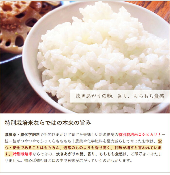 楽天市場】令和6年度産米 特別栽培米（減農薬・減化学肥料）コシヒカリ 