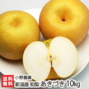 ypzÂ u2.5kgvoru5kgvoru10kgv_yV/{zyyY/yY/MtgɁI蕨zyz