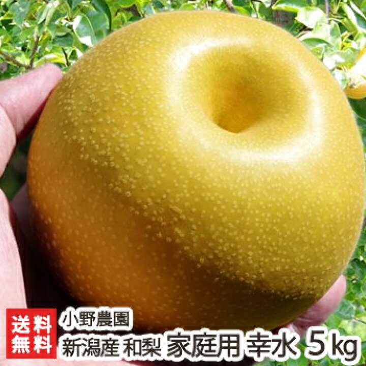 楽天市場】訳あり！新潟 小野農園の日本梨 家庭用 幸水 5kg（10〜14玉 