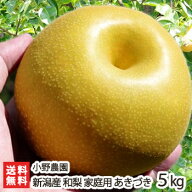 訳あり！新潟 小野農園の日本梨 家庭用 あきづき 5kg（9〜14玉）【あきづき梨】【送料無料】