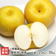 【贈答用】新高「5kg」or「10kg」【新高梨】小野農園【新潟/日本梨】【お土産/手土産/ギフトに！贈り物】…