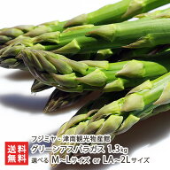 津南産 グリーンアスパラガス 1.3kg 選べる M〜Lサイズ or LA〜2Lサイズ フジミヤ - 津南観光物産館 アス…
