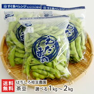 茶豆 選べる 1kg 〜 2kg はちしろ枝豆農園 新潟県産 えだまめ えだ豆 あま茶豆 新潟茶豆 お取り寄せグル…