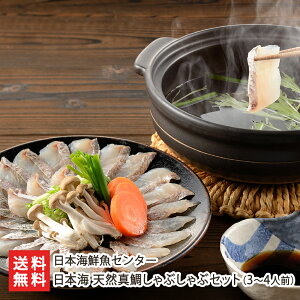 {C VR^₵ԂԃZbgi3`4lOj^ 1i؂EAjA|| 4 {CNZ^[ Ԃ  ^C g N  V YҒ  Mt