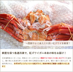 濃厚な旨味！日本海鮮魚センターの「ゆで紅ズワイガニ」3尾（約1.5kg）【鮮魚を閉じ込めた急速冷凍】【蟹かにずわいがに】【ギフトに！贈り物】【送料無料】