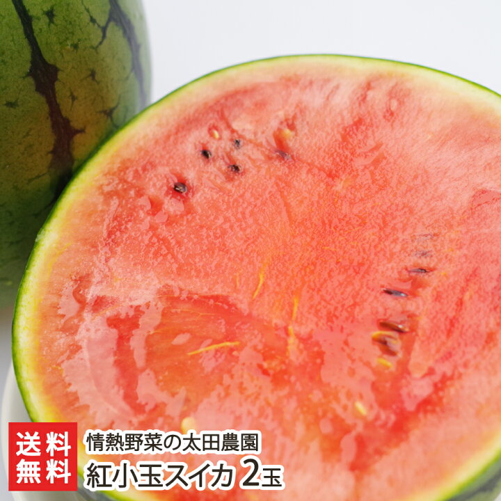楽天市場 紅小玉スイカ 2玉 情熱野菜の太田農園 新潟県産 産地直送 送料無料 新潟直送計画 フルーツ すいか 西瓜 べにこだま 特別栽培認証 シャリうま 新潟直送計画 楽天市場店