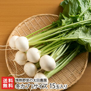 VY ~JuuLTCY 15ʁi1ʂ20gjvoru2LTCY 12ʁi1ʂ25gjvM؂̑c_yVv/VY///Yn/Ju̗t/Ђ/V`[/ϕ/