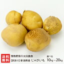 【訳あり】新潟県産 じゃがいも「10kg」or「20kg」 情熱野菜の太田農園 【ジャガイモ/新じゃが/砂丘地産】【お土産/手…