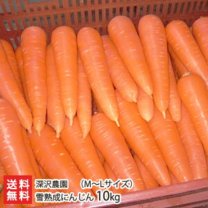 ��n���ɂ񂶂� �I�ׂ� M~L�T�C�Y or L~2L�T�C�Y �E 5kg �` 10kg �[��_�� �V�� �����Y �l�Q �j���W�� ��̉��l�Q ��̉��ɂ񂶂� �V���� ���Y�Ғ��� ������ �M�t�g �v���[���g ���蕨 ������