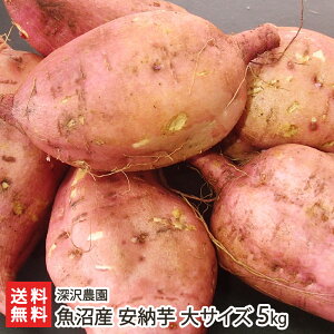 Y ቷn܂ [uʏTCY 3kgvoruTCY 5kgv[_ŷ/AmEC/܈/Tc}C/Ă/XC[czyyY/yY/MtgɁI蕨zy