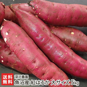 Y ቷn܂ g͂邩uʏTCY 3kgvoruTCY 5kgv[_ ׂɂ͂邩 xjnJ ܈ Tc}C Ă XC[c V YҒ  Mtg v